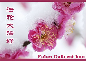 Image for article Dire « Falun Dafa est bon » est puissant