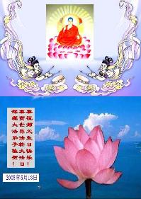 Image for article Les pratiquants en Chine souhaitent respectueusement à Maître Li un joyeux anniversaire et célèbrent le 13ème anniversaire de la présentation de Falun Dafa au public (4e partie) – (Photos)