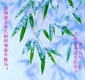 Image for article Les pratiquants de Chine souhaitent respectueusement au vénérable Maître un Joyeux Nouvel An chinois (6ème partie) (Photos)