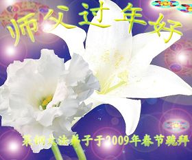 Image for article Les pratiquants de différentes professions en Chine souhaitent un joyeux Nouvel an chinois au vénérable Maître ( III ) (Images)