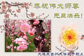 Image for article Les pratiquants en Chine souhaitent au Grand Maître révéré une excellente année (Photos)