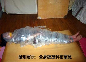 Image for article Mme Ding Zhenfang, une citoyenne âgée, détenue dans une prison de la province du Liaoning, est réduite à l'état d'un squelette (Photo)