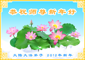 Image for article Les pratiquants de Falun Dafa du Centre de la Chine souhaitent au vénérable Maître une Bonne et Heureuse Année ! (Photos)