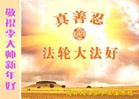 Image for article Des non-pratiquants qui soutiennent Dafa souhaitent respectueusement à Maître Li une bonne fête du Nouvel An chinois (Images)
