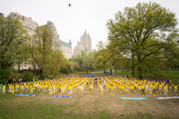 Image for article Des activités pour célébrer la vie et la foi lors de la Journée mondiale du Falun Dafa
