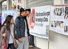 Image for article Sydney Australie : Grâce à la « Grande muraille de vérité », la population locale soutient ceux qui sont persécutés en Chine