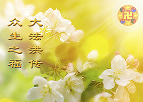 Image for article Les vœux du Nouvel An montrent la profonde gratitude envers Maître Li Hongzhi