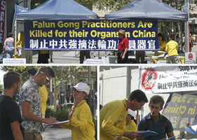 Image for article Australie-Occidentale : Les habitants et les Chinois en visite disent « Stop aux atrocités des prélèvements forcés d'organes en Chine ! »