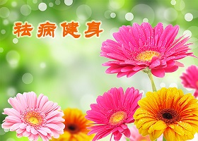 Image for article Une nouvelle pratiquante : La joie de cultiver et pratiquer le Falun Dafa