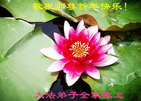 Image for article Des pratiquants et des sympathisants du Falun Gong envoient leurs vœux à Maître Li avec leur gratitude