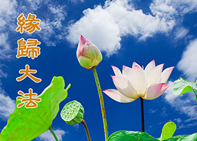 Image for article Inspiré à pratiquer le Falun Dafa