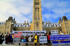 Image for article Un projet de loi sur le trafic d'organes passe en deuxième lecture au Parlement canadien