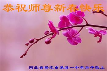 Image for article « Cultiver avec le cœur que nous avions au début » — Les pratiquants de Falun Dafa de Chine souhaitent respectueusement à Maître Li Hongzhi un bon Nouvel An !
