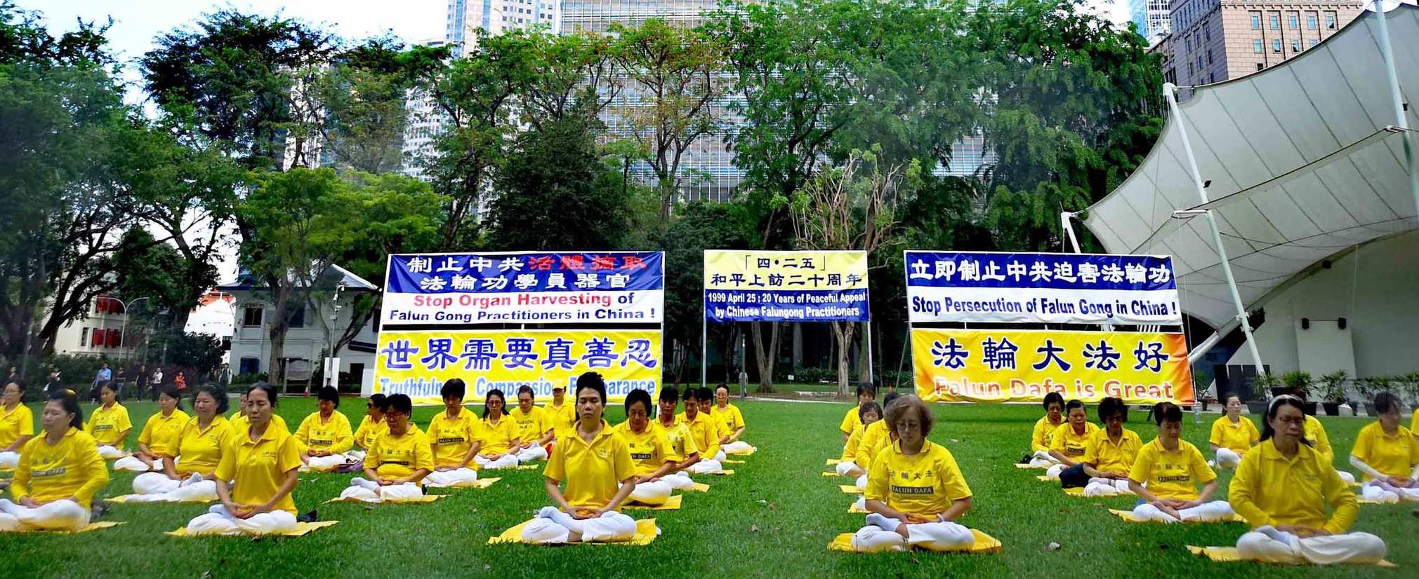 Image for article Singapour : Un rassemblement marque le 20e anniversaire de l'Appel pacifique du 25 avril
