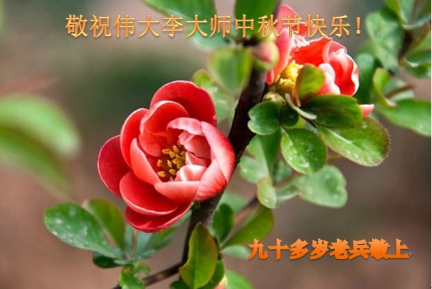 Image for article Les sympathisants du Falun Dafa souhaitent à Maître Li Hongzhi une joyeuse fête de la Mi-automne