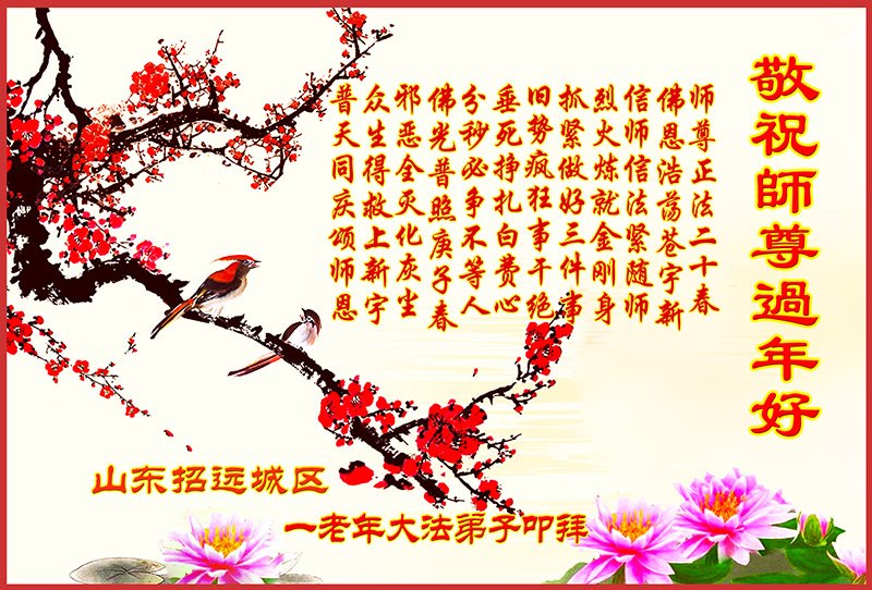 Image for article Des pratiquants de Falun Dafa expérimentés remercient Maître Li Hongzhi d'avoir renouvelé leurs vies