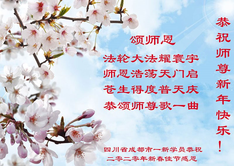 Image for article Gratitude des pratiquants de Falun Dafa de quinze provinces en Chine
