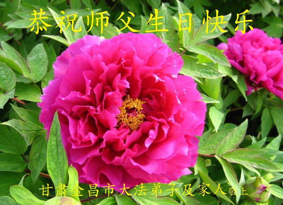 Image for article Des sympathisants du Falun Dafa célèbrent la Journée mondiale du Falun Dafa et souhaitent respectueusement à Maître Li Hongzhi un joyeux anniversaire (23 vœux)