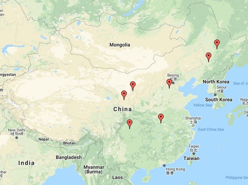 Image for article Informations supplémentaires en provenance de Chine concernant la persécution – 9 juin 2020 (8 rapports)