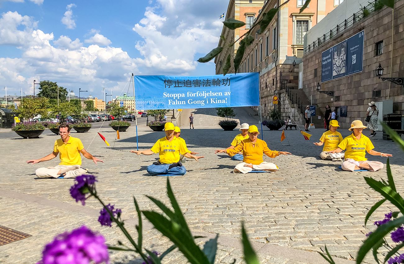 Image for article « Nous allons certainement apprendre le Falun Gong » - Les activités pour présenter le Falun Gong à Stockholm reçoivent un accueil chaleureux