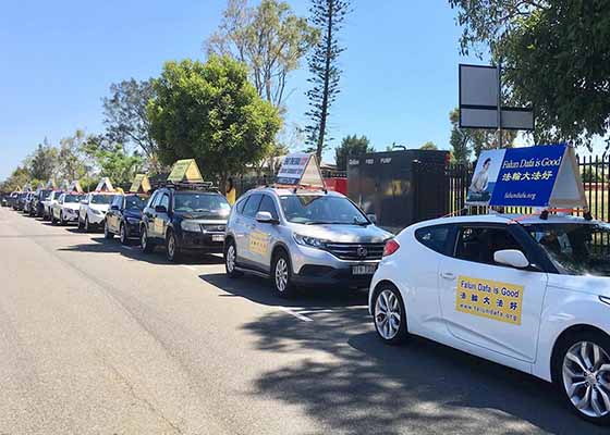Image for article Queensland, Australie : Caravane de voitures appelant la fin du PCC