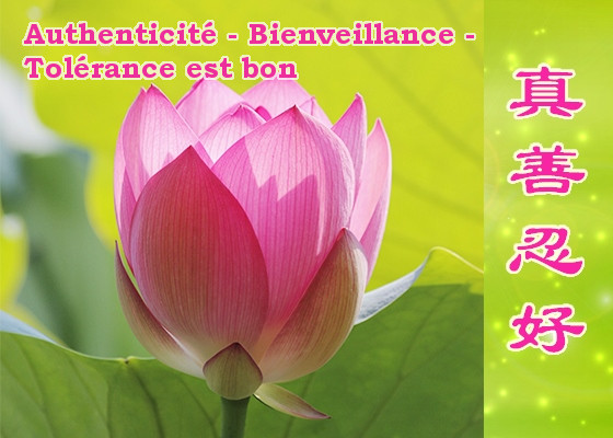 Image for article Le Falun Dafa a résolu nos conflits familiaux