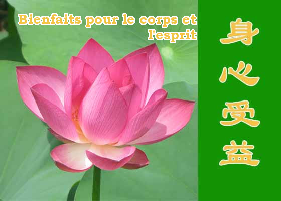 Image for article Le Falun Dafa m’a appris à être altruiste