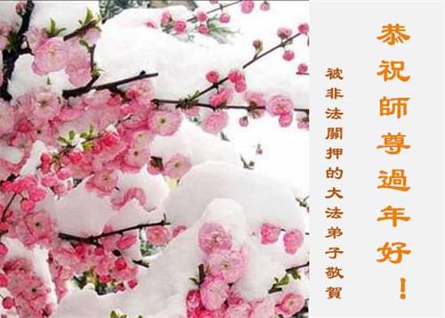 Image for article Vœux de Nouvel An de la part des pratiquants de Falun Dafa incarcérés pour leur croyance