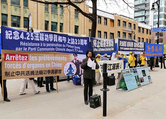 Image for article Québec, Canada : Le public condamne le PCC lors des activités organisées pour commémorer l’Appel pacifique du 25 avril