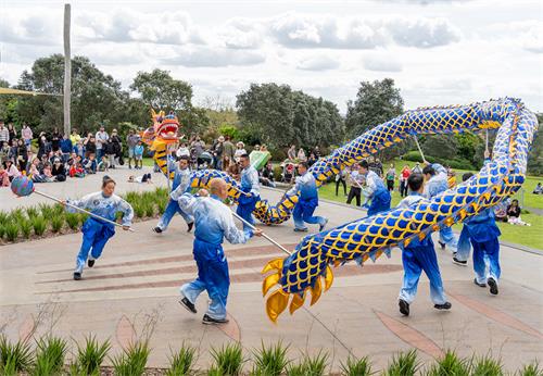 Image for article Nouvelle-Zélande : Le Falun Dafa est le bienvenu au Jardin botanique d’Auckland