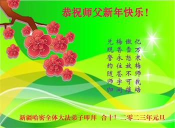 Image for article Les pratiquants de Falun Dafa de 30 provinces de Chine ont envoyé leurs vœux de Nouvel An à Maître Li
