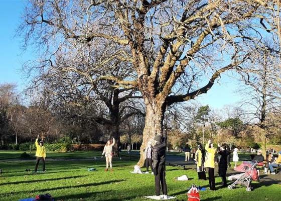 Image for article Irlande : Des gens apprennent le Falun Dafa dans un parc de Dublin