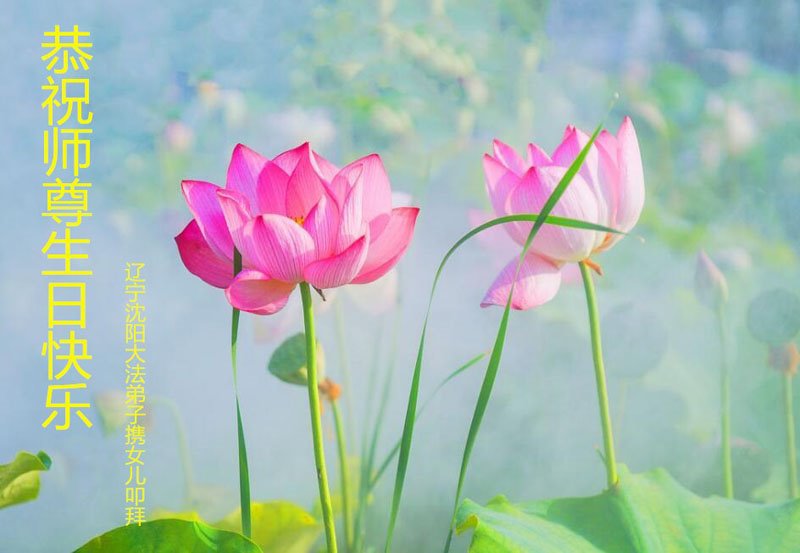 Image for article Les pratiquants de Falun Dafa de la ville de Shenyang célèbrent la Journée mondiale du Falun Dafa et souhaitent respectueusement à Maître Li Hongzhi un joyeux anniversaire ! (20 vœux)