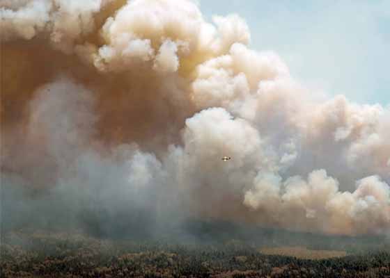 Image for article Des dizaines d’États américains émettent des alertes à la pollution atmosphérique avec la propagation des incendies de forêt au Canada