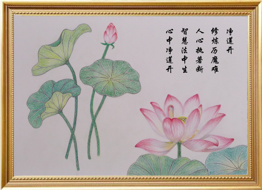 Image for article [Célébrer la Journée mondiale du Falun Dafa] Peinture : Fleurs de lotus