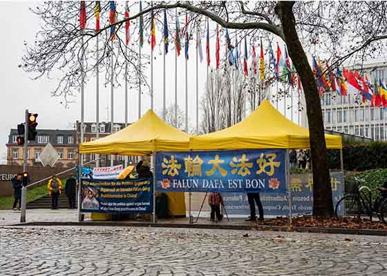 Image for article France : Les pratiquants européens de Falun Dafa célèbrent la Journée internationale des droits de l’homme et sensibilisent le public à la persécution en Chine