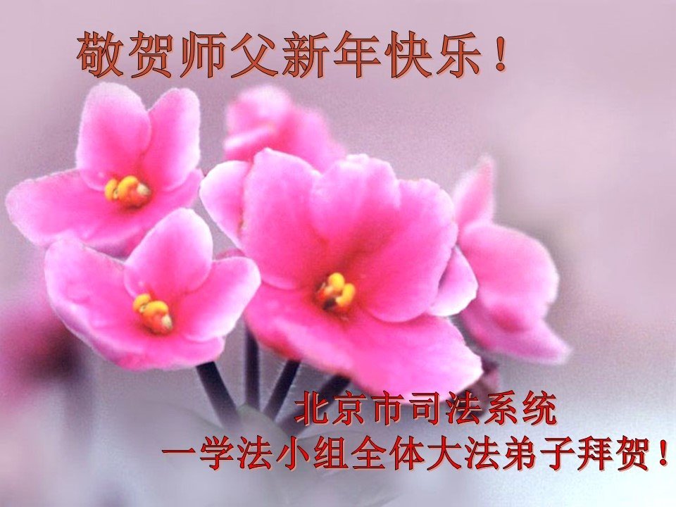 Image for article Les pratiquants de Falun Dafa et les symphatisants qui travaillent dans le système judiciaire chinois souhaitent une bonne année au vénérable Maître Li Hongzhi
