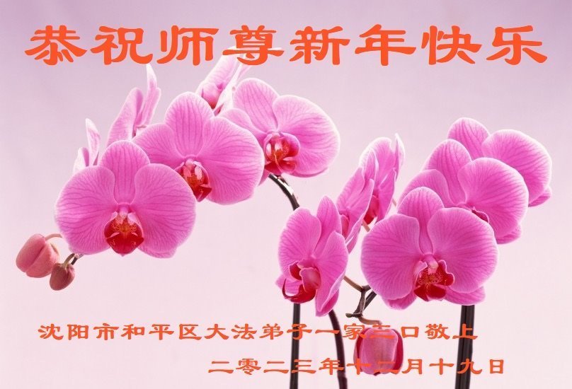 Image for article Les pratiquants de Falun Dafa de la ville de Shenyang souhaitent respectueusement au vénérable Maître Li Hongzhi une Bonne et Heureuse Année ! (19 vœux)