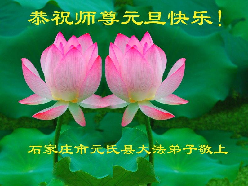 Image for article Les pratiquants de Falun Dafa de la ville de Shijiazhuang souhaitent respectueusement au vénérable Maître Li Hongzhi une Bonne et Heureuse Année ! (26 vœux)
