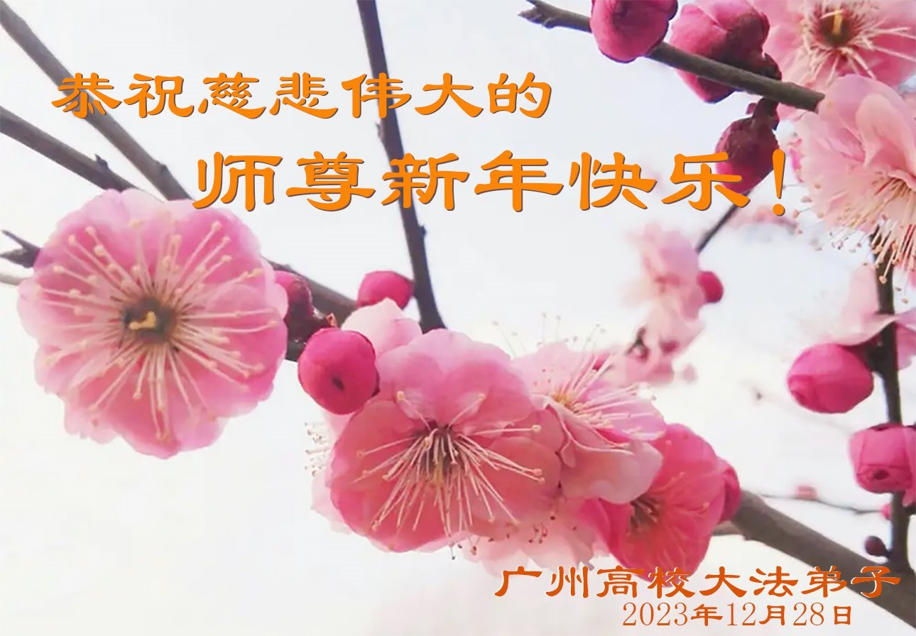 Image for article Les étudiants et les jeunes professionnels souhaitent une Bonne Année au vénérable Maître Li Hongzhi