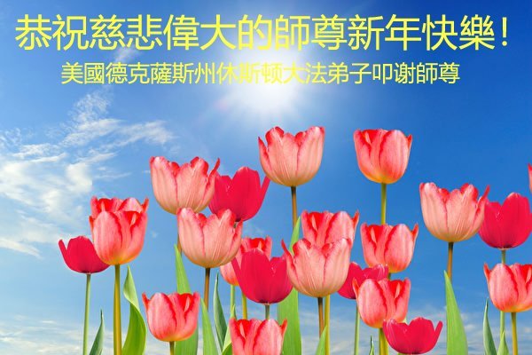 Image for article Les pratiquants de Falun Dafa du sud des États-Unis souhaitent respectueusement au Maître une Bonne Année