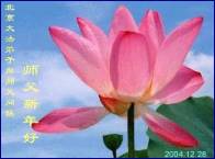Image for article Les pratiquants de Falun Dafa de Chine envoient leurs vœux pour la Nouvelle Année à Maître Li – 1ère partie (extraits avec photos)