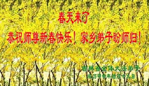 Image for article Les pratiquants de Falun Dafa de 283 endroits différents en Chine envoient à Maître leurs vœux pour le Nouvel An chinois (photos) 1ère partie