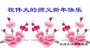 Image for article Les pratiquants de Falun Dafa dans plus de 475 endroits en Chine envoient leurs voeux du Nouvel An lunaire chinois au Bienveillant Grand Maître (Photos) – 2e partie