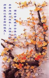 Image for article Encore de nouvelles Salutations du Nouvel An au Maître grandiose des pratiquants de Falun Dafa du monde entier (Photos)