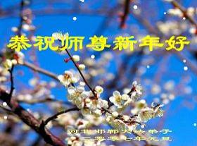 Image for article Des pratiquants de Falun Dafa souhaitent au Maître une Bonne et Heureuse Année (Flash movies)