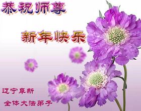 Image for article Les pratiquants de Falun Dafa de Chine souhaitent au vénérable Maître une bonne et heureuse année ! (Deuxième partie)
