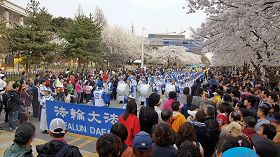 Image for article Séoul, Corée: La fanfare Terre divine ravit la foule au Festival des cerisiers en fleur de Yeouido (Photos)
