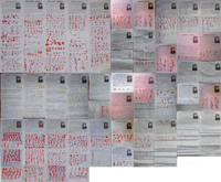 Image for article Un pratiquant fait une grève de la faim depuis 500 jours pour dénoncer son incarcération – 8 000 personnes signent une pétition pour sa libération