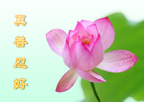 Image for article Une personne ayant autrefois participé à la persécution devient un pratiquant de Falun Dafa